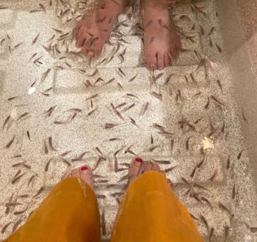 有馬温泉 太閤の湯に投稿された画像（2023/1/4）