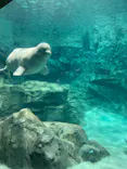 名古屋港水族館に投稿された画像（2023/1/5）