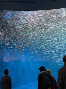 名古屋港水族館に投稿された画像（2023/1/4）
