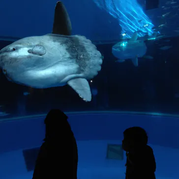 横浜・八景島シーパラダイスに投稿された画像（2023/1/4）