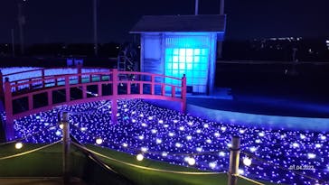 東京メガイルミに投稿された画像（2023/1/4）