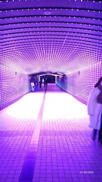 東京メガイルミに投稿された画像（2023/1/4）