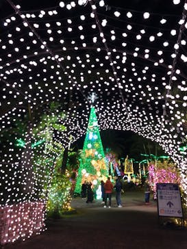 美らヤシパークオキナワ・東南植物楽園に投稿された画像（2023/1/4）