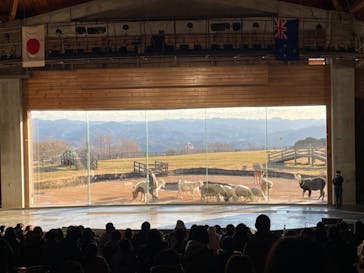 マザー牧場に投稿された画像（2023/1/4）