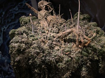 アニメージュとジブリ展に投稿された画像（2023/1/4）