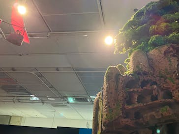 アニメージュとジブリ展に投稿された画像（2023/1/4）