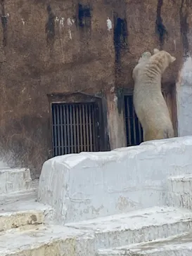 天王寺動物園に投稿された画像（2023/1/4）