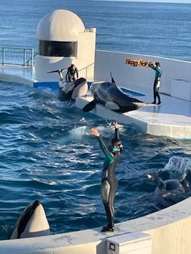 鴨川シーワールドに投稿された画像（2023/1/5）