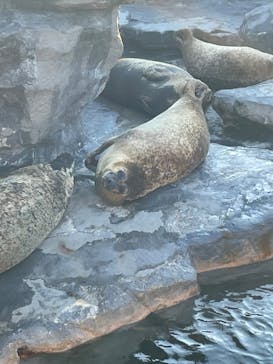 鴨川シーワールドに投稿された画像（2023/1/5）