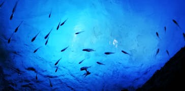 鴨川シーワールドに投稿された画像（2023/1/5）