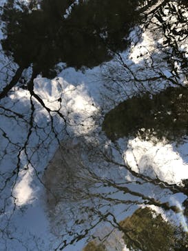 彫刻の森美術館に投稿された画像（2023/1/5）