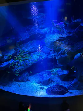 すみだ水族館に投稿された画像（2023/1/5）