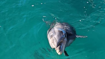 下田海中水族館に投稿された画像（2023/1/5）