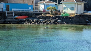 下田海中水族館に投稿された画像（2023/1/5）