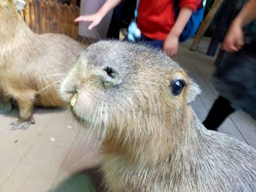 カワスイ 川崎⽔族館に投稿された画像（2023/1/5）