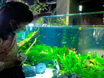 カワスイ 川崎⽔族館に投稿された画像（2023/1/5）