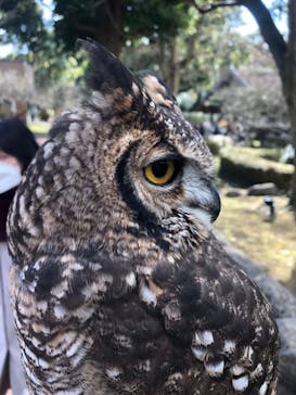 伊豆アニマルキングダムに投稿された画像（2023/1/5）