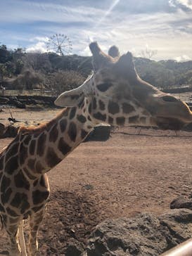 伊豆アニマルキングダムに投稿された画像（2023/1/5）