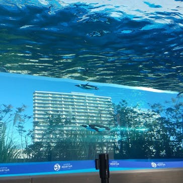 サンシャイン水族館に投稿された画像（2023/1/2）