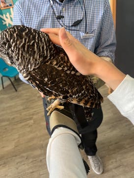 Moff animal cafe iias つくば店に投稿された画像（2023/1/5）