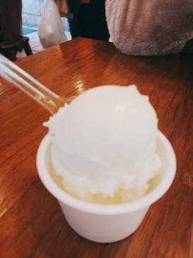 野外民族博物館 リトルワールドに投稿された画像（2023/1/5）