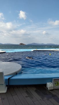 四国水族館に投稿された画像（2023/1/5）