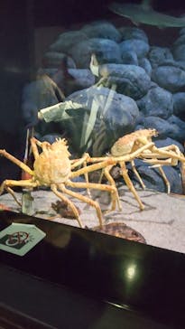 四国水族館に投稿された画像（2023/1/5）