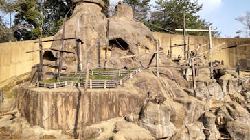 到津の森公園に投稿された画像（2023/1/5）