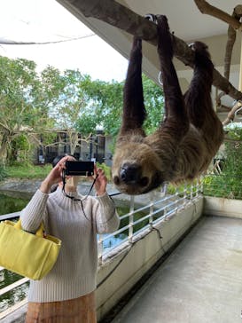 ネオパークオキナワに投稿された画像（2023/1/5）