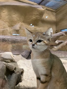 ネオパークオキナワに投稿された画像（2023/1/5）