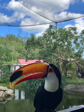 ネオパークオキナワに投稿された画像（2023/1/5）