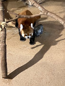 ネオパークオキナワに投稿された画像（2023/1/5）