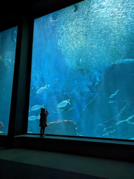マリンワールド海の中道に投稿された画像（2023/1/5）