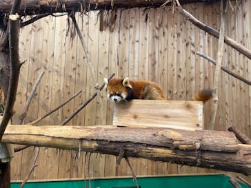 伊豆シャボテン動物公園に投稿された画像（2023/1/5）