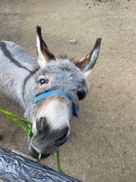 伊豆シャボテン動物公園に投稿された画像（2023/1/5）