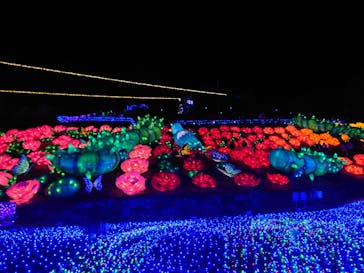 伊豆ぐらんぱる公園に投稿された画像（2023/1/5）