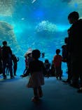 新江ノ島水族館に投稿された画像（2023/1/5）