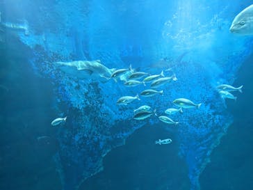 マリンワールド海の中道に投稿された画像（2023/1/5）