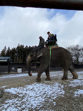 那須サファリパークに投稿された画像（2023/1/5）