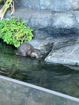 横浜・八景島シーパラダイスに投稿された画像（2023/1/5）