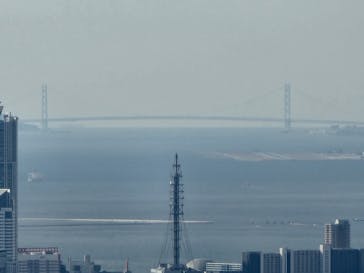 ハルカス300(展望台)に投稿された画像（2023/1/5）