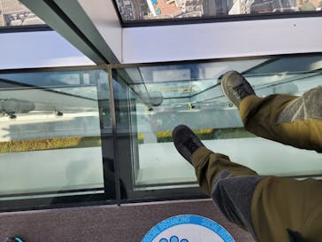 ハルカス300(展望台)に投稿された画像（2023/1/5）