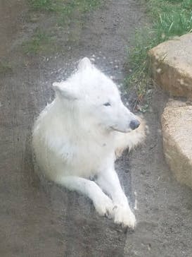 那須どうぶつ王国に投稿された画像（2023/1/5）