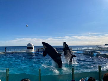 鴨川シーワールドに投稿された画像（2023/1/5）