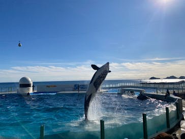 鴨川シーワールドに投稿された画像（2023/1/5）