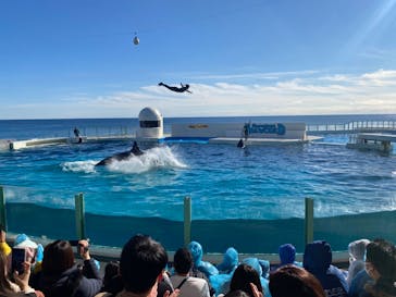 鴨川シーワールドに投稿された画像（2023/1/5）