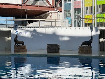 伊豆・三津シーパラダイスに投稿された画像（2023/1/5）