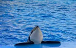 名古屋港水族館に投稿された画像（2023/1/5）