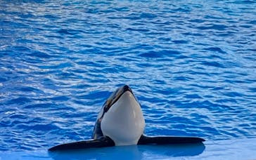 名古屋港水族館に投稿された画像（2023/1/5）