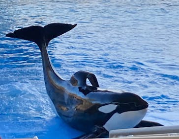 名古屋港水族館に投稿された画像（2023/1/5）
